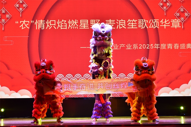 2舞狮开场。.JPG 2舞狮开场。.JPG